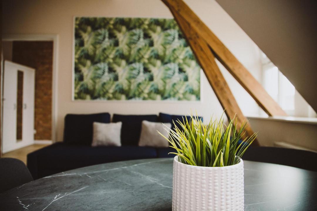 Apartamenty Leszno ภายนอก รูปภาพ